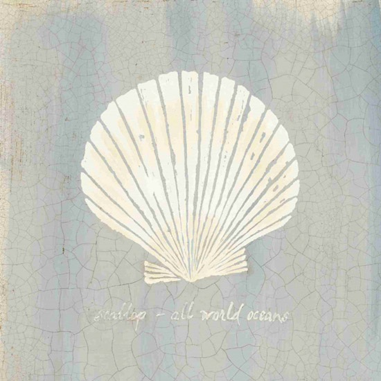 Compatible Stillleben Jahrriesnge  for shell-lpf00175 