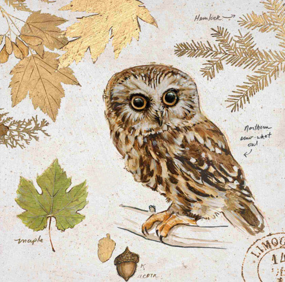 Compatible Stillleben Jahrriesnge  for owl-lpf00190 