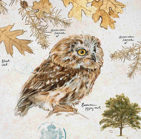 Compatible Stillleben Jahrriesnge  for owl-lpf00191 