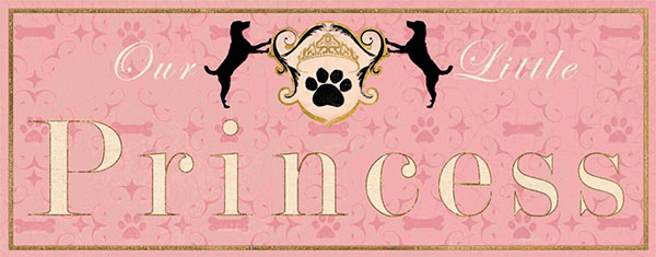 Compatible Stillleben Jahrriesnge  for prince-lpf00245 