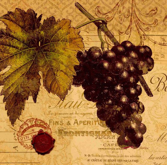 Compatible Stillleben Jahrriesnge  for grape-lpf00335 