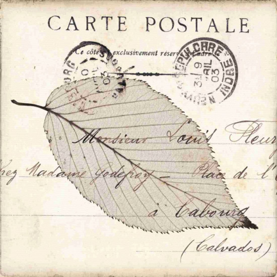Compatible Stillleben Jahrriesnge  for leaf-lpf00488 