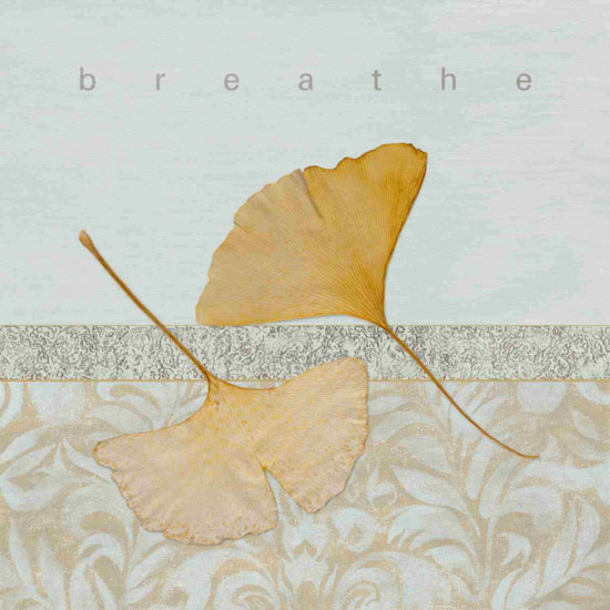 Compatible Stillleben Jahrriesnge  for leaf-lpf00497 