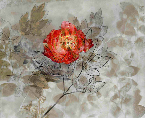 Compatible Blumen JAHRRIESNGE  for flower-lpf00562 