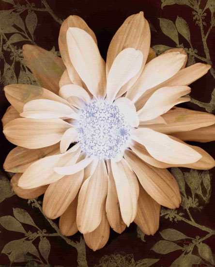 Compatible Blumen JAHRRIESNGE  for flower-lpf00571 