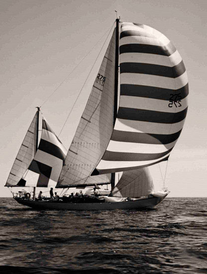 Compatible Landschaft JAHRRIESNGE  for sailboat-lpf00709 