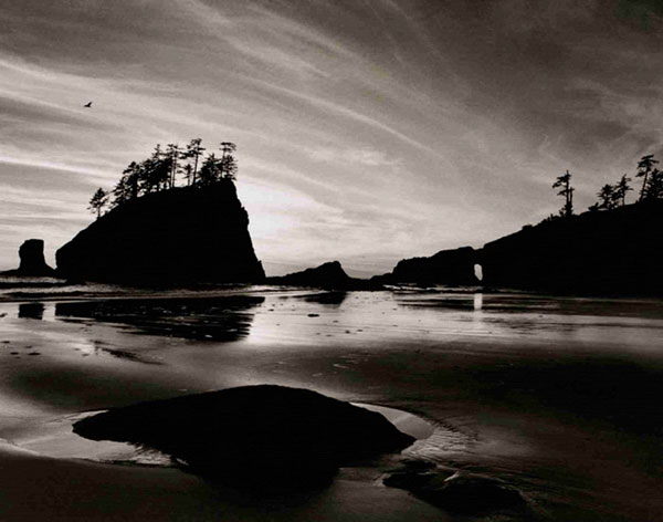 Compatible Landschaft JAHRRIESNGE  for sky-lpf00764 