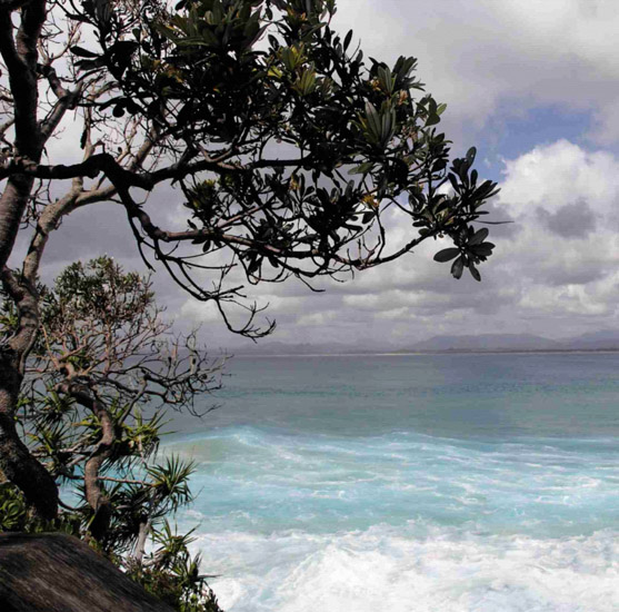 Compatible Landschaft JAHRRIESNGE  for sky-lpf00770 