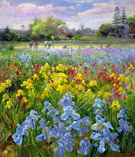 Compatible Landschaft JAHRRIESNGE  for flower-field-lpf02507 