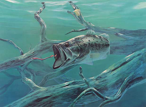 Compatible Tiere Jahrriesnge  for fish-lpf02522 