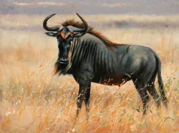 Compatible Tiere Jahrriesnge  for wildebeest-lpf02552 