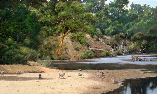 Compatible Tiere Jahrriesnge  for monkey-lpf02564 