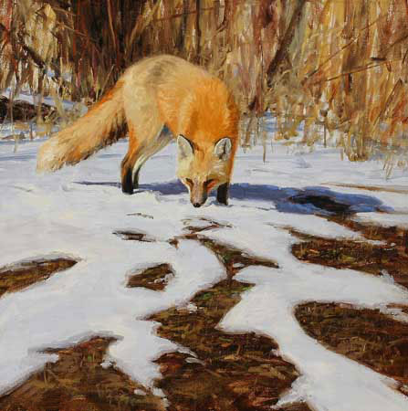 Compatible Tiere Jahrriesnge  for fox-lpf02566 