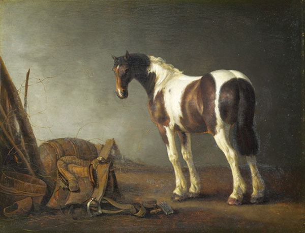 Compatible Tiere Jahrriesnge  for horse-lpf02580 