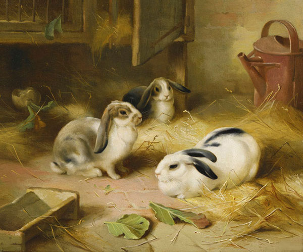 Compatible Tiere Jahrriesnge  for rabbit-lpf02587 