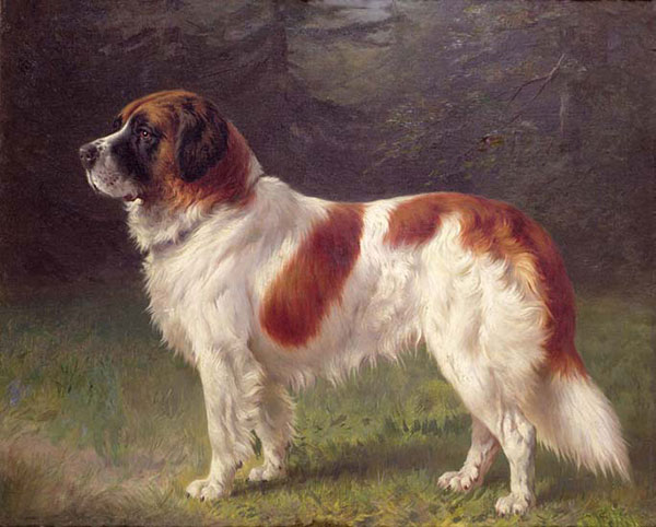 Compatible Tiere Jahrriesnge  for dog-lpf02635 