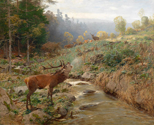 Compatible Tiere Jahrriesnge  for red-deer-lpf02654 