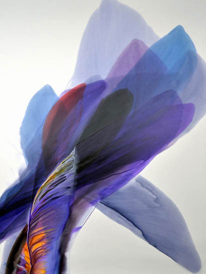 Compatible Abstrakt Jahrriesnge  for untitle-lpf03520 