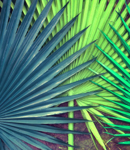 Compatible Blumen JAHRRIESNGE  for pu kui lpf04590 