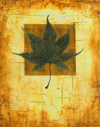 Compatible Blumen JAHRRIESNGE  for leaf lpf04633 