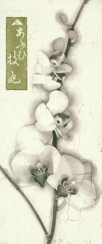 Compatible Blumen JAHRRIESNGE  for flowers lpf04654 