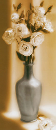 Compatible Blumen JAHRRIESNGE  for flower lpf04686 