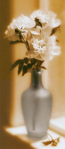 Compatible Blumen JAHRRIESNGE  for flower lpf04687 