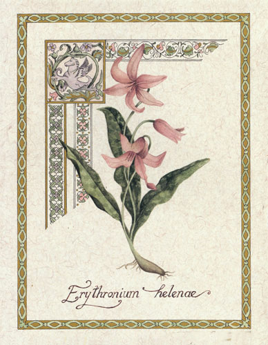 Compatible Blumen JAHRRIESNGE  for flower lpf04736 