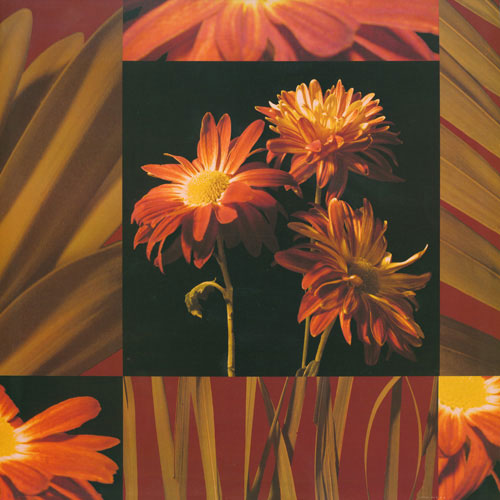 Compatible Blumen JAHRRIESNGE  for flowers lpf05007 