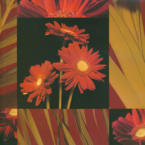 Compatible Blumen JAHRRIESNGE  for leaves lpf05008 