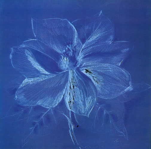 Compatible Blumen JAHRRIESNGE  for flowers lpf05270 