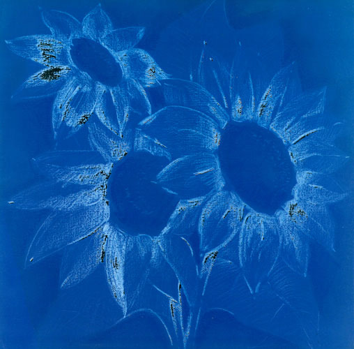 Compatible Blumen JAHRRIESNGE  for flowers lpf05271 