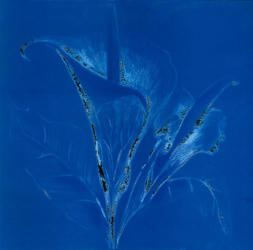 Compatible Blumen JAHRRIESNGE  for flowers lpf05272 