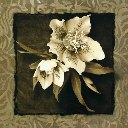 Compatible Blumen JAHRRIESNGE  for flowers lpf05471 