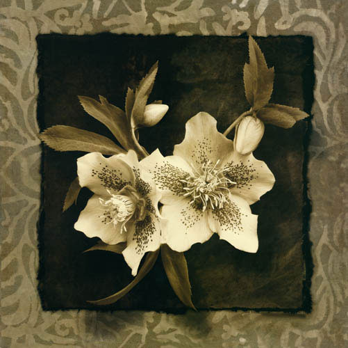 Compatible Blumen JAHRRIESNGE  for flowers lpf05472 