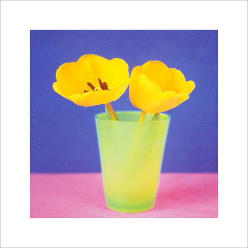 Compatible Blumen JAHRRIESNGE  for flowers lpf05589 