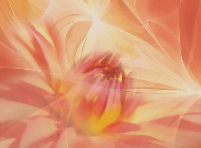 Compatible Abstrakt Jahrriesnge  for colorful-lpf05649 