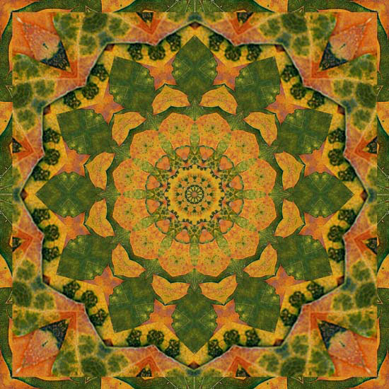 Compatible Abstrakt Jahrriesnge  for colorful-lpf06363 