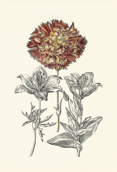 Compatible Blumen JAHRRIESNGE  for flowers-lpf06620 