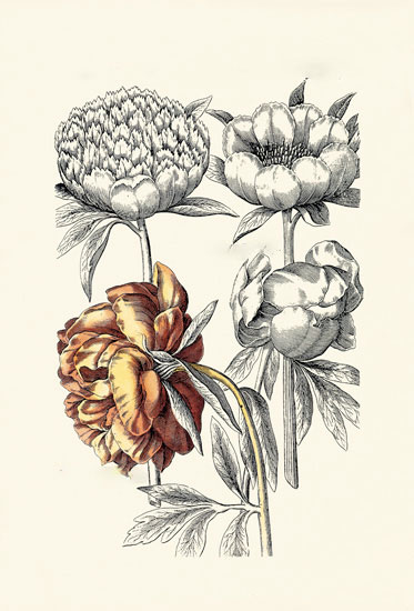 Compatible Blumen JAHRRIESNGE  for flowers-lpf06622 