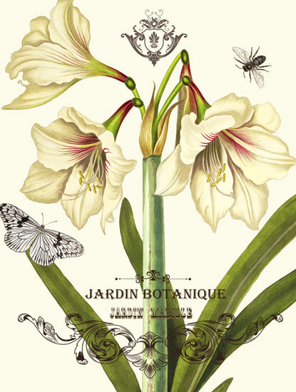 Compatible Blumen JAHRRIESNGE  for flowers-lpf06634 