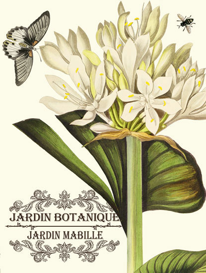 Compatible Blumen JAHRRIESNGE  for flowers-lpf06636 