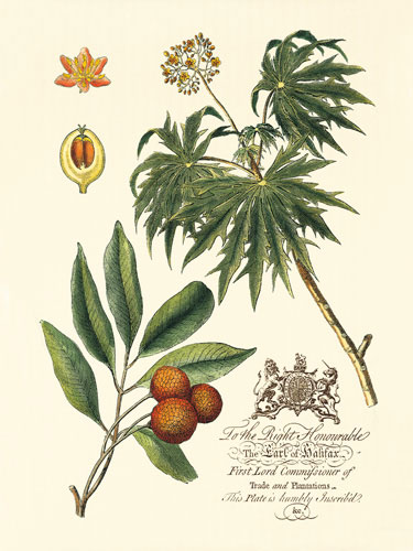 Compatible Blumen JAHRRIESNGE  for flowers-lpf06642 