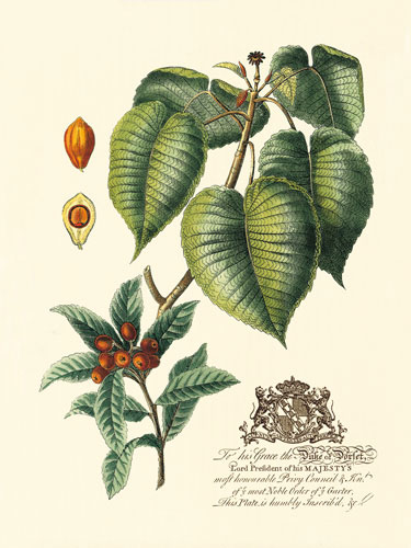 Compatible Blumen JAHRRIESNGE  for flowers-lpf06643 