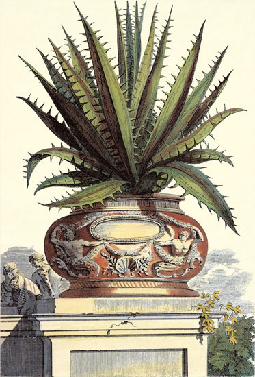 Compatible Blumen JAHRRIESNGE  for flowers-lpf06776 