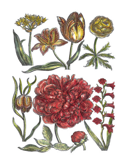 Compatible Blumen JAHRRIESNGE  for flowers-lpf06779 