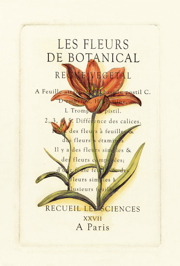 Compatible Blumen JAHRRIESNGE  for flowers-lpf06792 