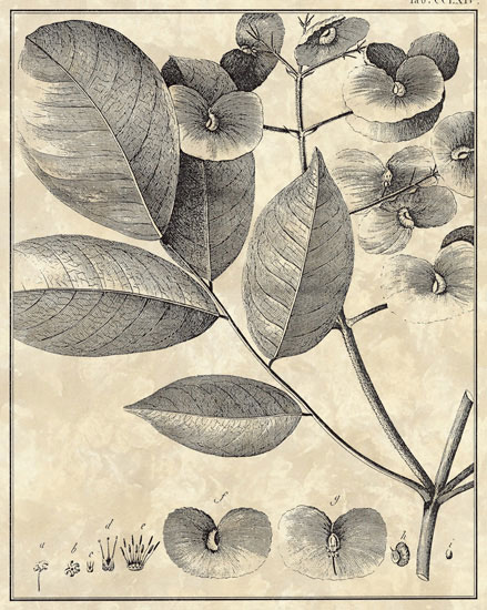 Compatible Blumen JAHRRIESNGE  for flowers-lpf06794 