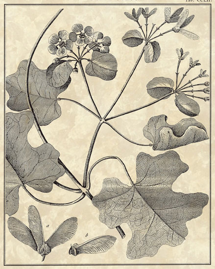 Compatible Blumen JAHRRIESNGE  for flowers-lpf06797 