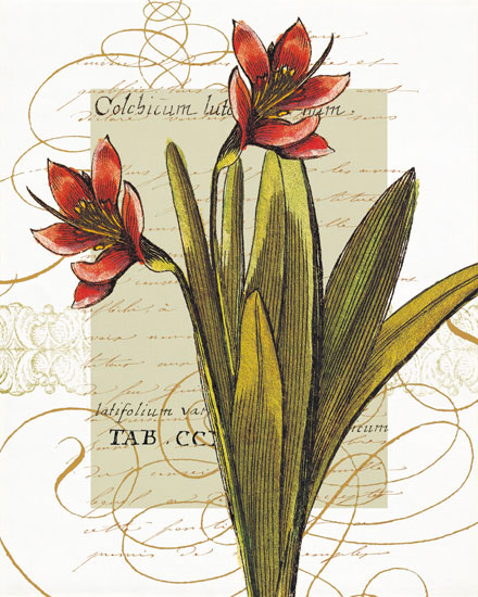 Compatible Blumen JAHRRIESNGE  for flowers-lpf06822 